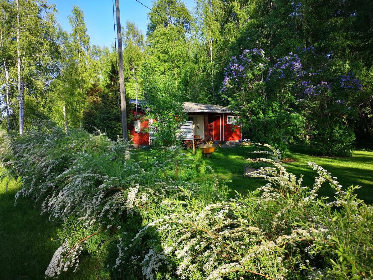 Koivuniemi Cottage Säkylä Exterior foto