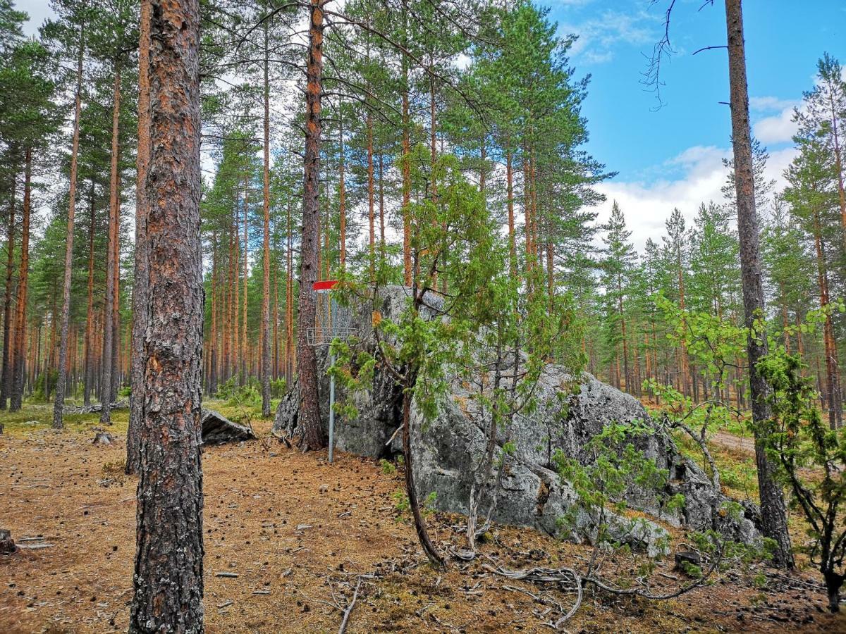 Koivuniemi Cottage Säkylä Exterior foto