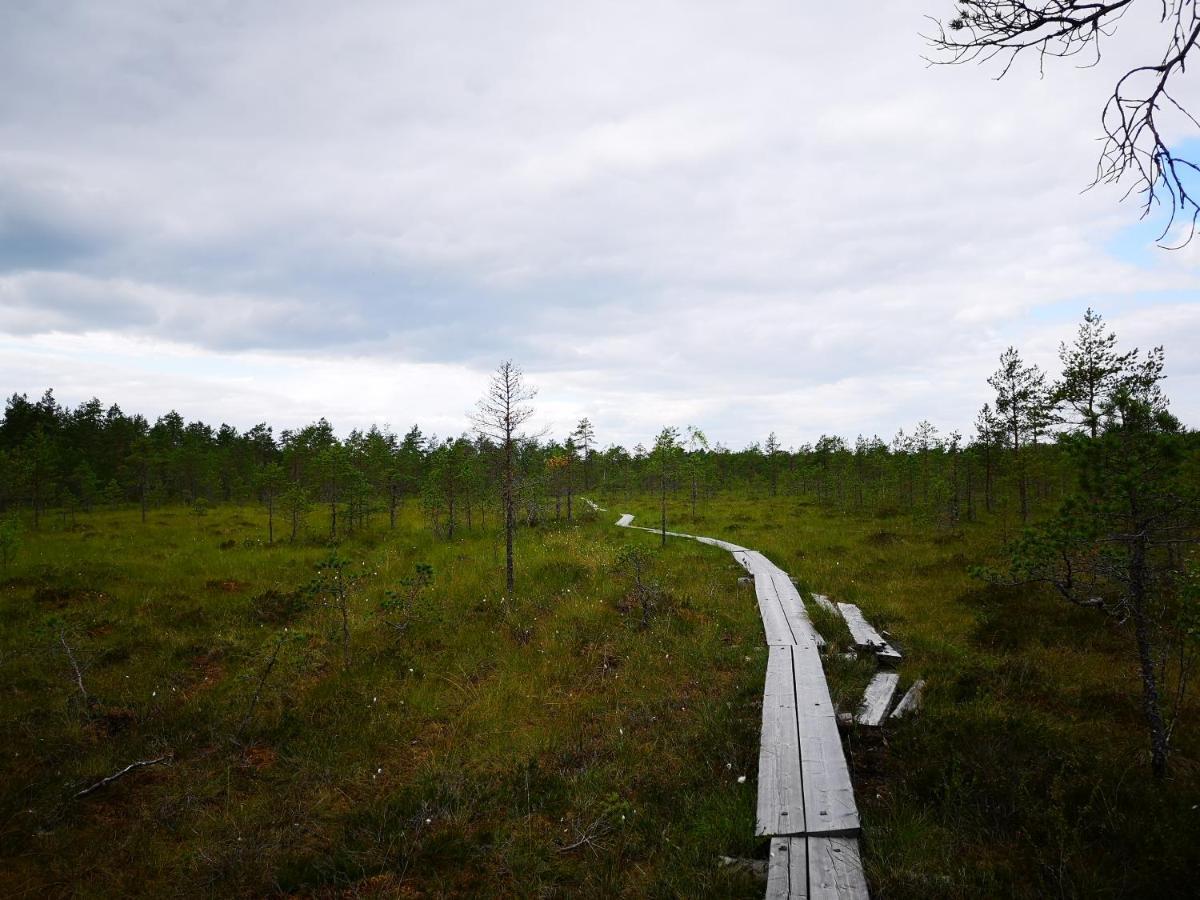 Koivuniemi Cottage Säkylä Exterior foto